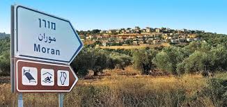 מורן
