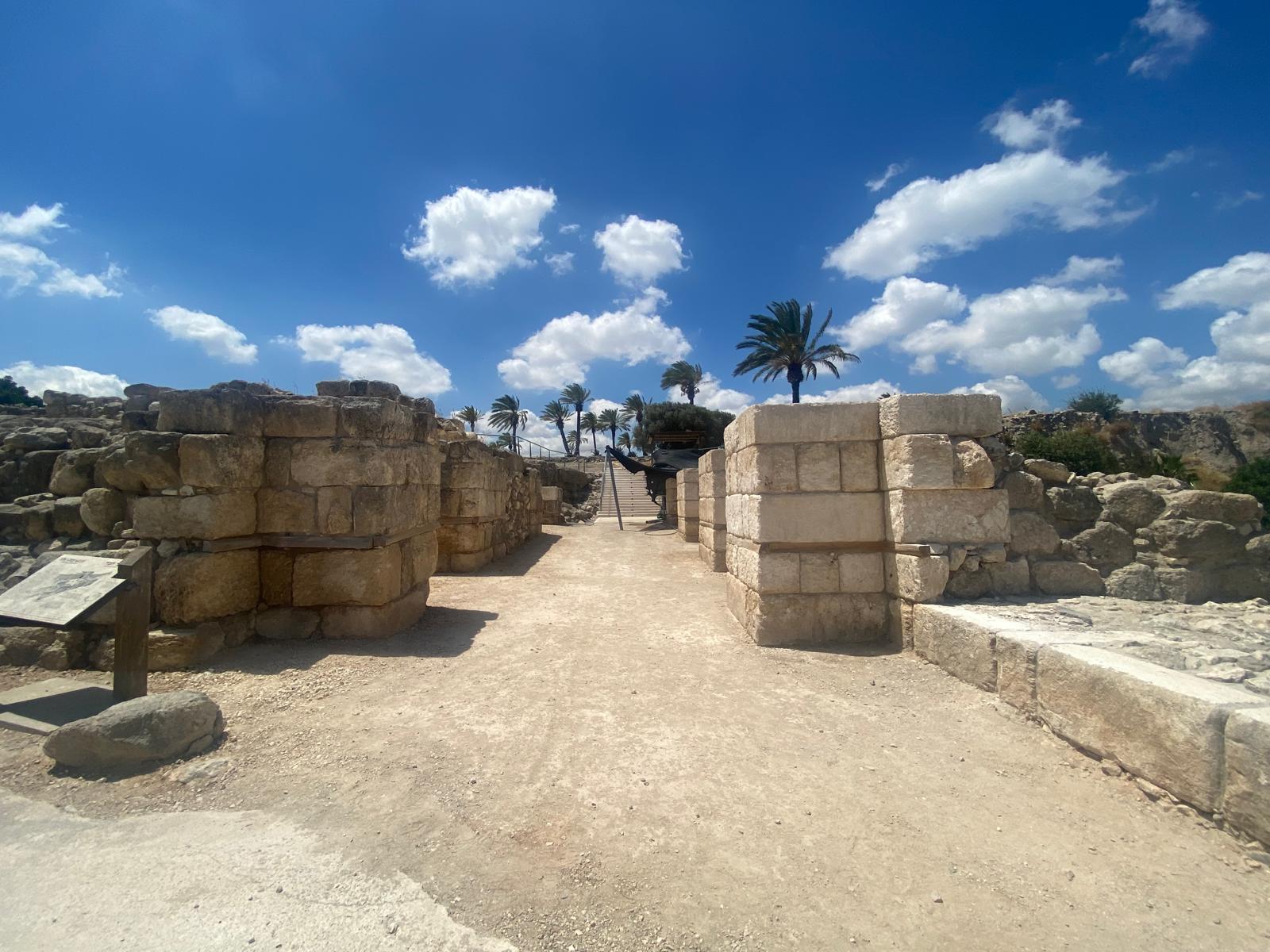 מגידו במלוא פריחתה: ארכיאולוגיה בין כלניות לתורמוסים