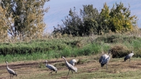 נופש בטבריה נובמבר 21 (12).jpg
