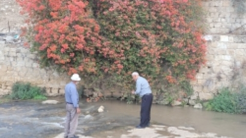 טיול לנחל ציפורי אוקטובר 21 (39).jpg
