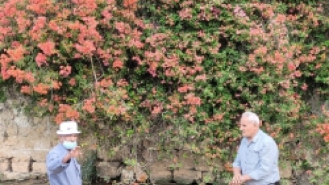 טיול לנחל ציפורי אוקטובר 21 (44).jpg