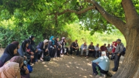 טיולים לנחל שניר בחודש יוני (9).jpeg