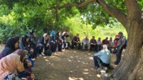 טיולים לנחל שניר בחודש יוני (12).jpeg