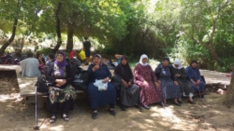 טיולים לנחל שניר בחודש יוני (34).jpeg