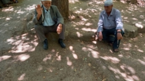 טיולים לנחל שניר בחודש יוני (18).jpeg