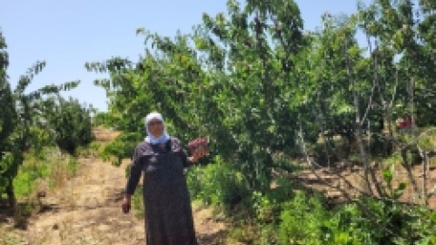 טיולים לנחל שניר בחודש יוני (38).jpeg