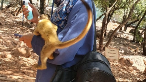 ביקור כמאנה בידפת (2).jpeg