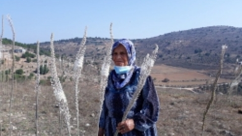 ביקור דמיידה ביער הקופים (20).jpeg