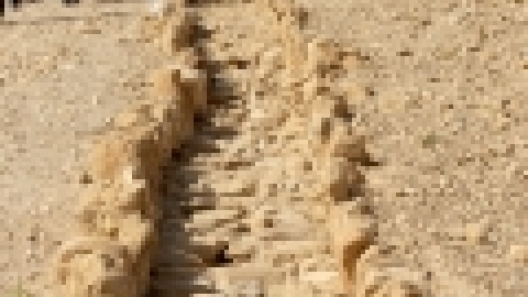טיולי חמשישים קול קורא במדבר ירושלים ומדבר יומיים - אוקטובר 2017  (8).jpg