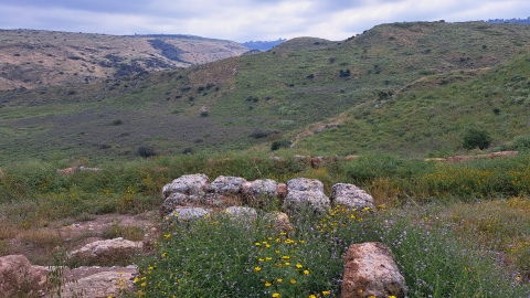 20240411_095443.jpg