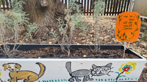 אדניות 7.jpg