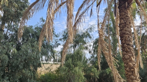 IMG-20241208-WA0022.jpg