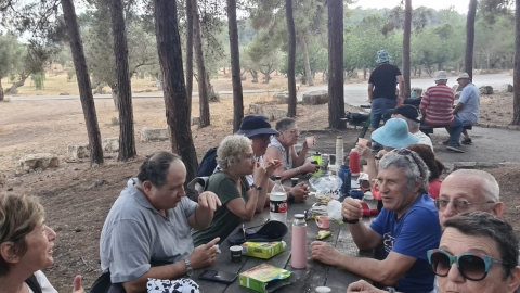 פיקניק.jpg