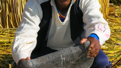 roimolam2.jpg