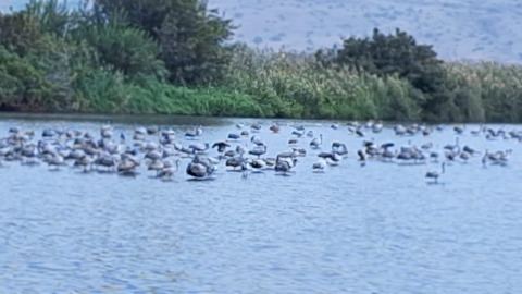 WhatsApp Image 2025-11-04 at 17.59.34 (2).jpeg