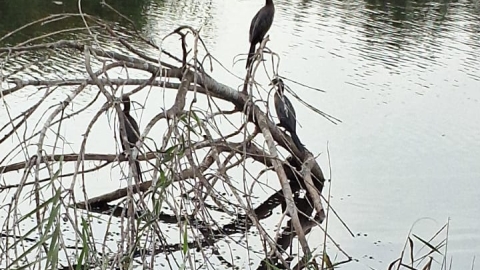 WhatsApp Image 2025-11-04 at 17.59.34.jpeg