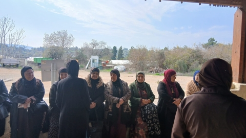 WhatsApp Image 2026-01-01 at 11.20.51 (1).jpeg