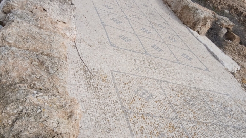 WhatsApp Image 2026-01-01 at 11.20.52.jpeg