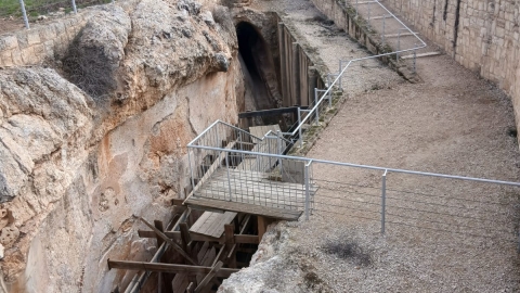 WhatsApp Image 2026-01-01 at 11.20.53.jpeg